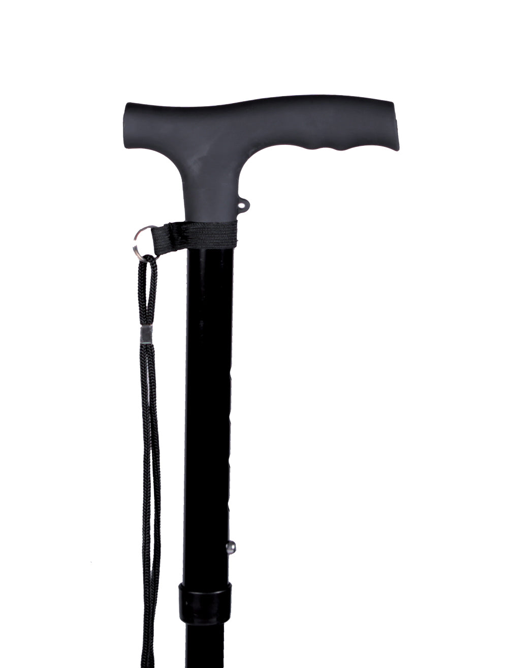 Fritz foldable