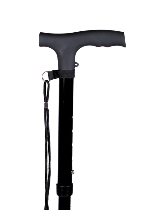 Fritz foldable